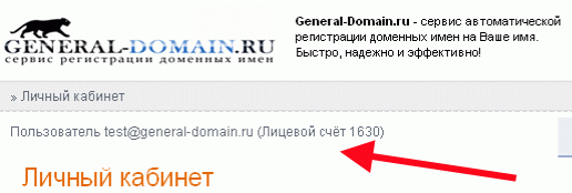 Лицевой счет на General-Domain